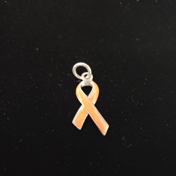 Beaucoup Designs Leukemia Cancer Ribbon Charm - Picture 1 of 2